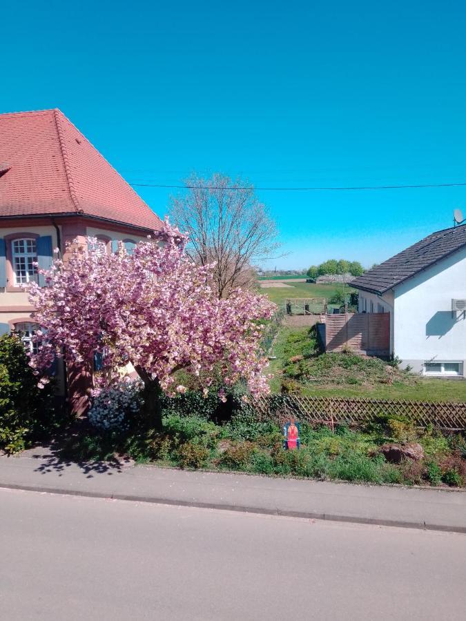 Meyerhof Daire Wittenweier Dış mekan fotoğraf